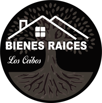 logo bienes raices (1)